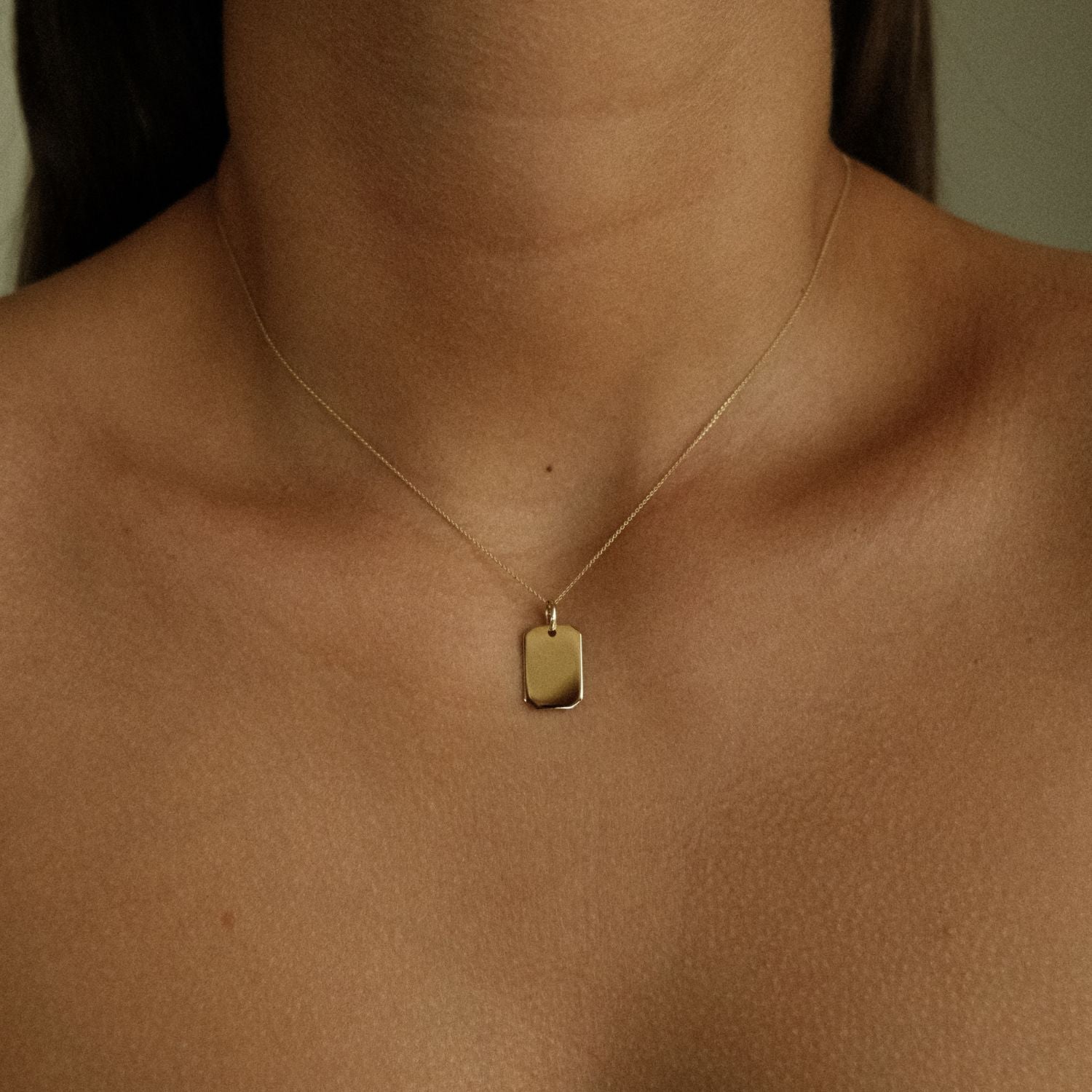 14k hanger met gouden plaatje