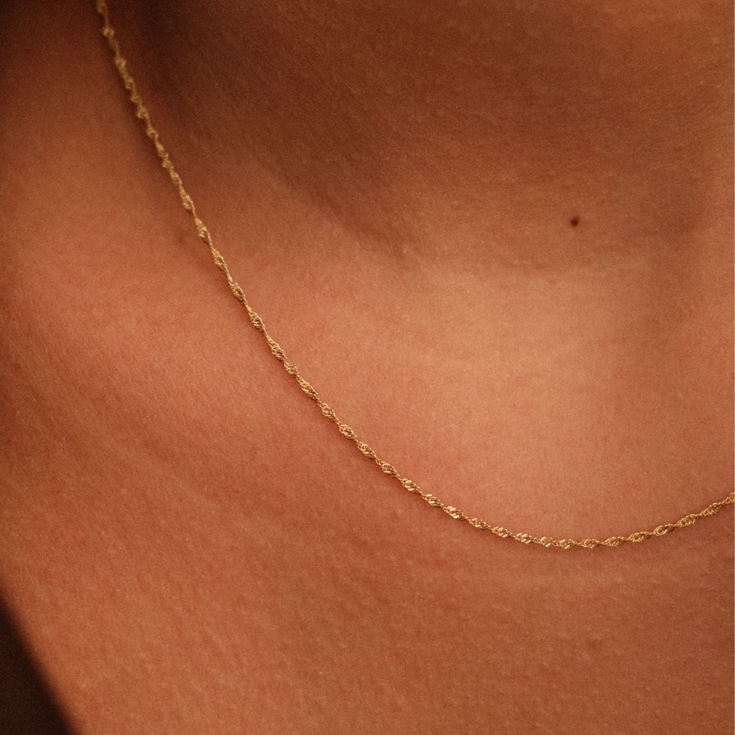 Details Delicate Twist Ketting