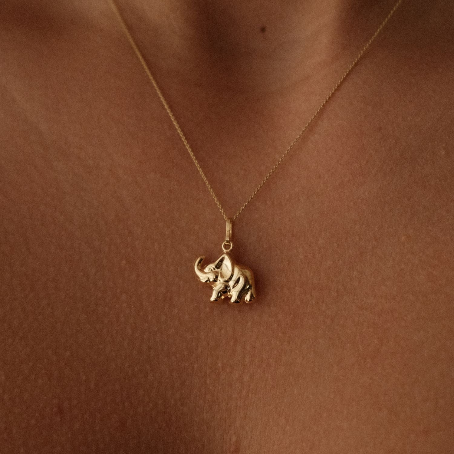Elephant Charm 14k Goud