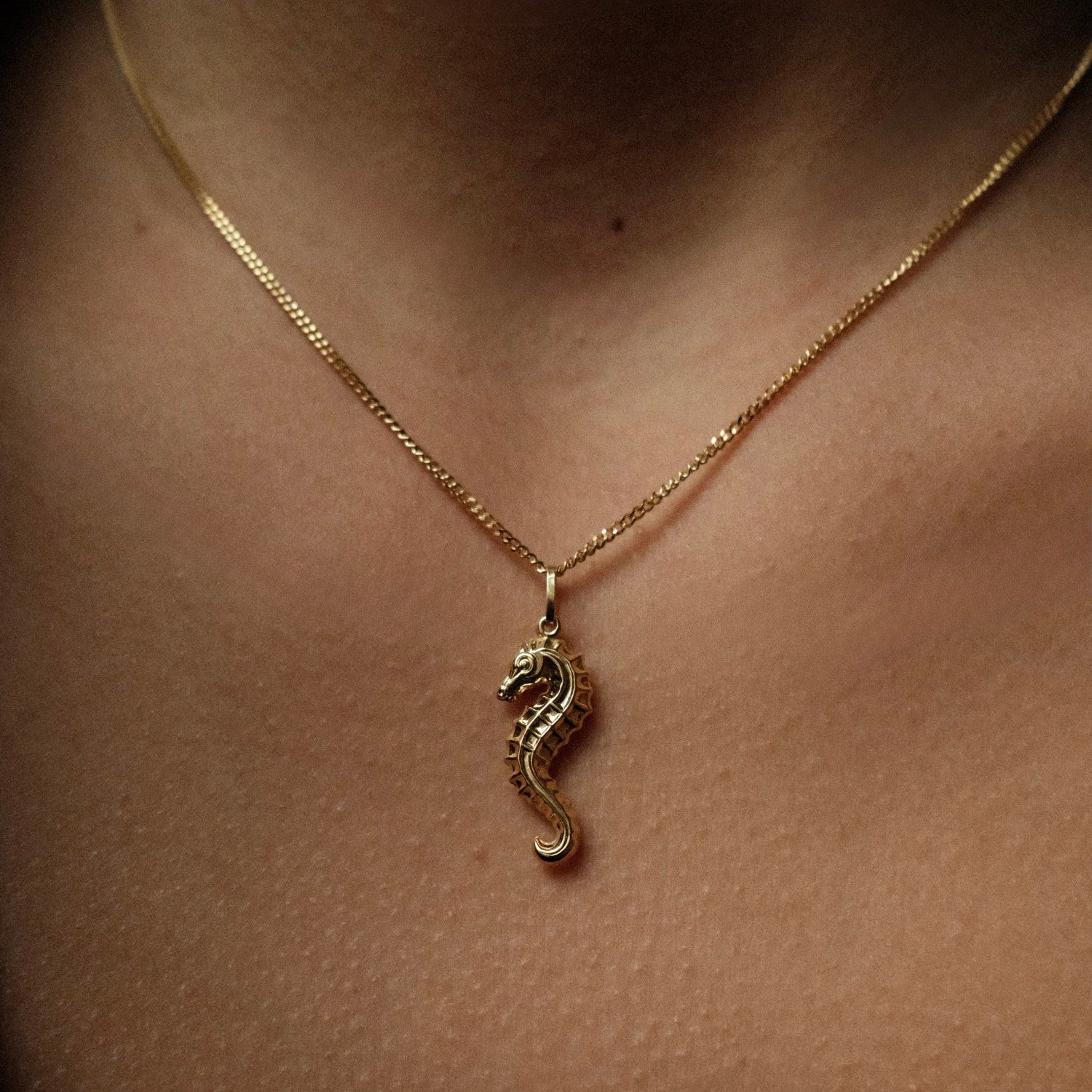 Gouden Zeepaard Hanger