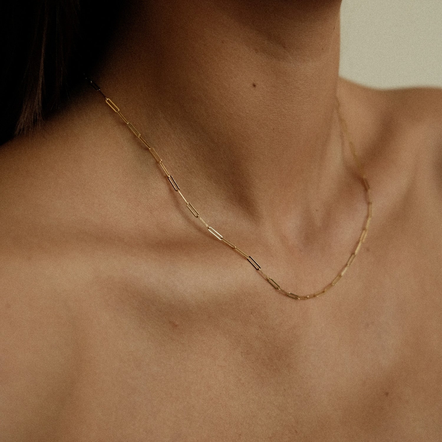 Mini paperclip necklace