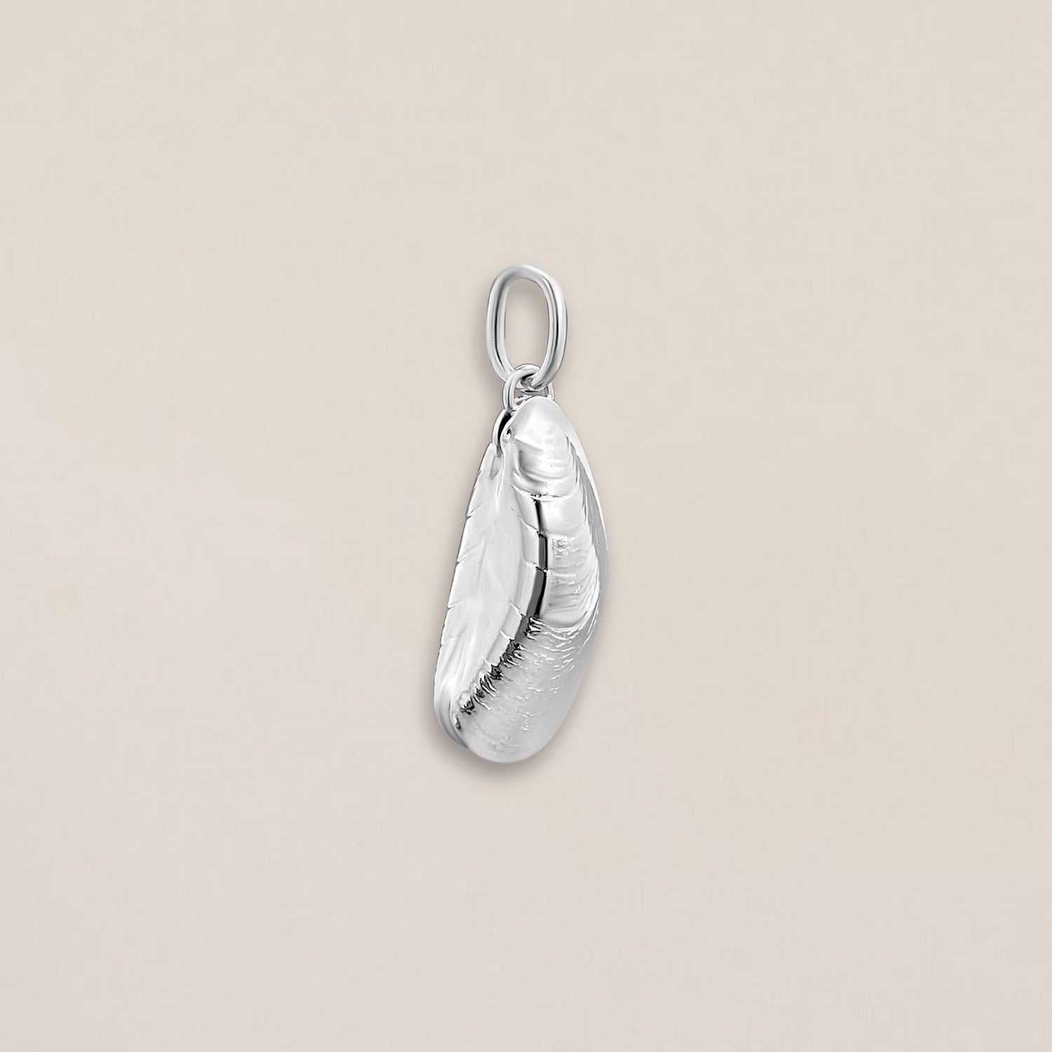Mussel pendant silver