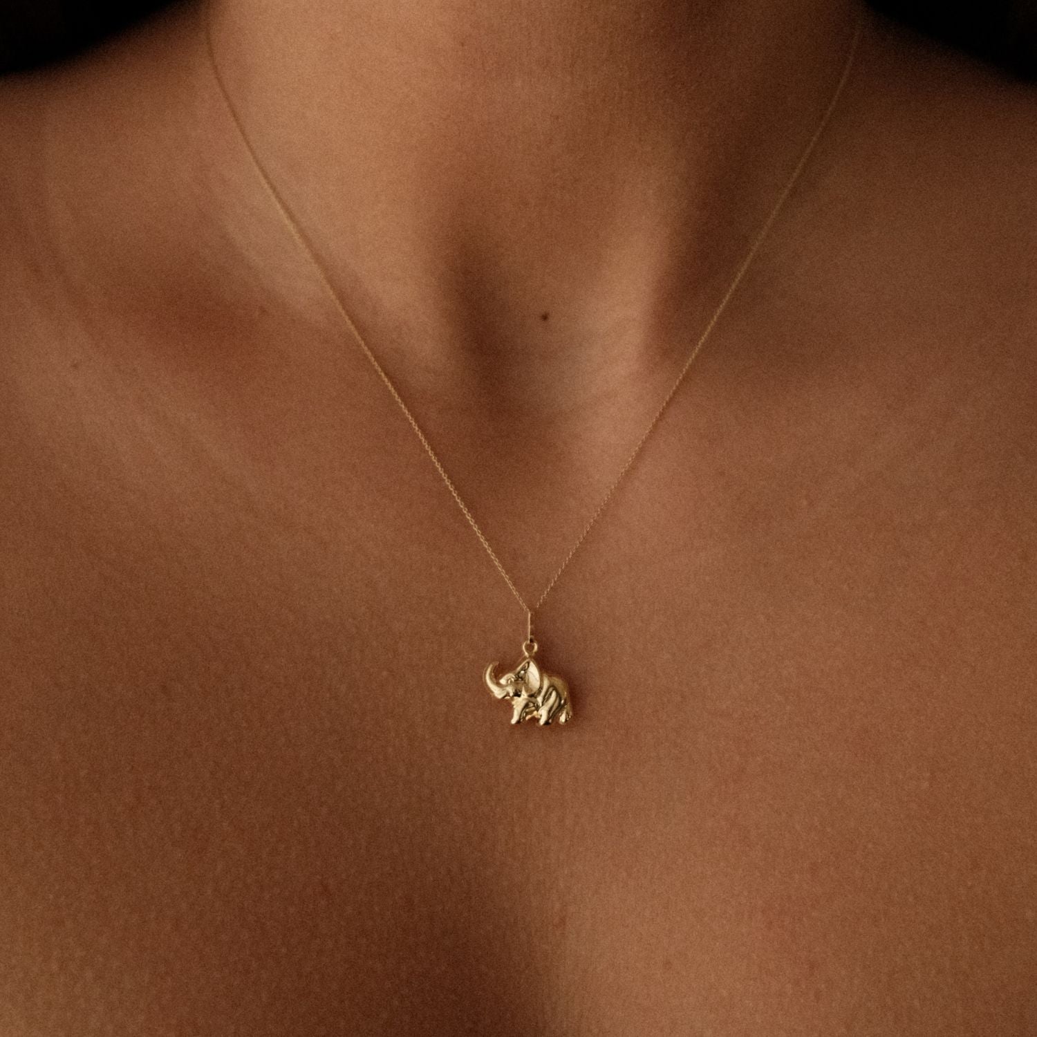 Olifant Hanger 14k Goud