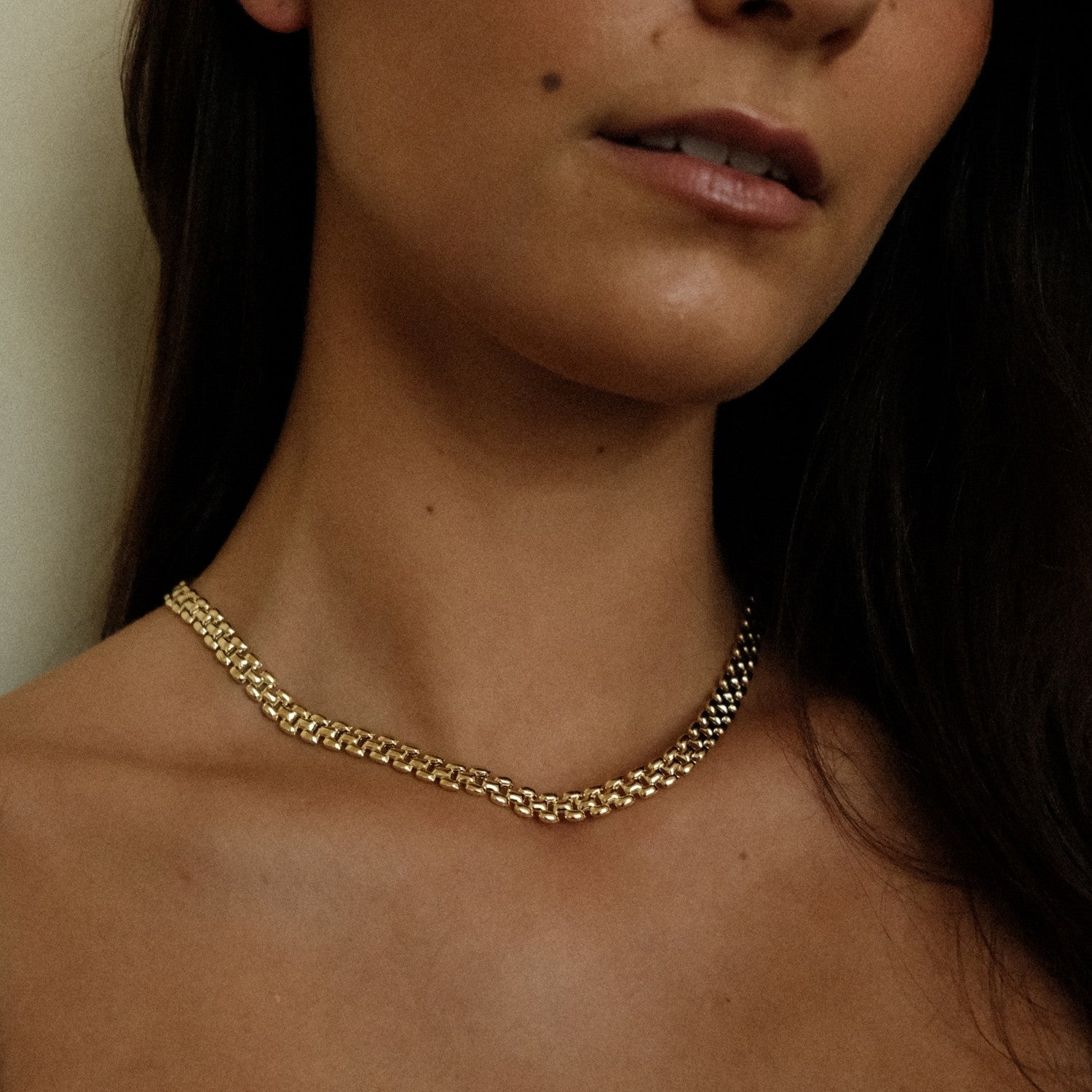 Panter ketting