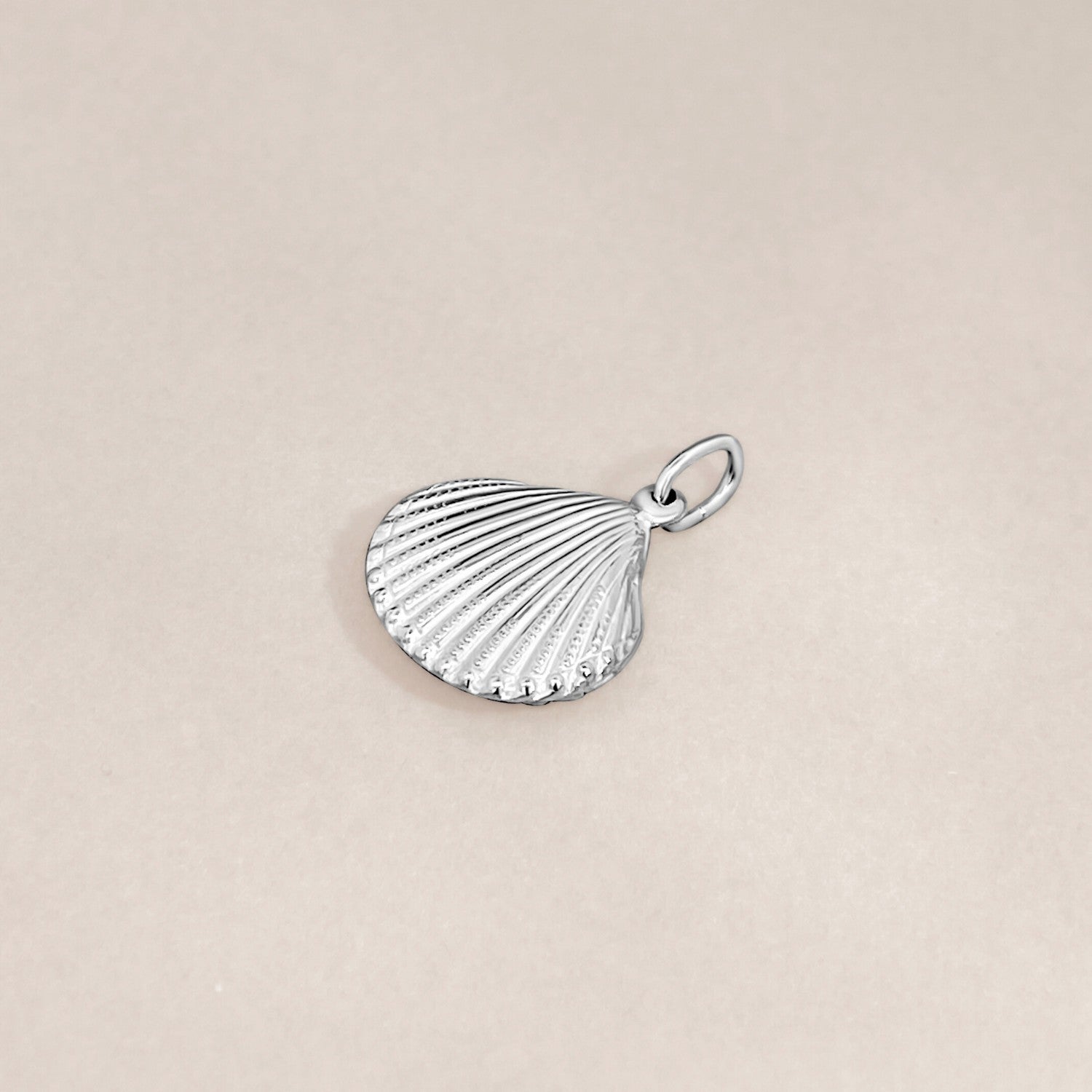 Schelp zilver