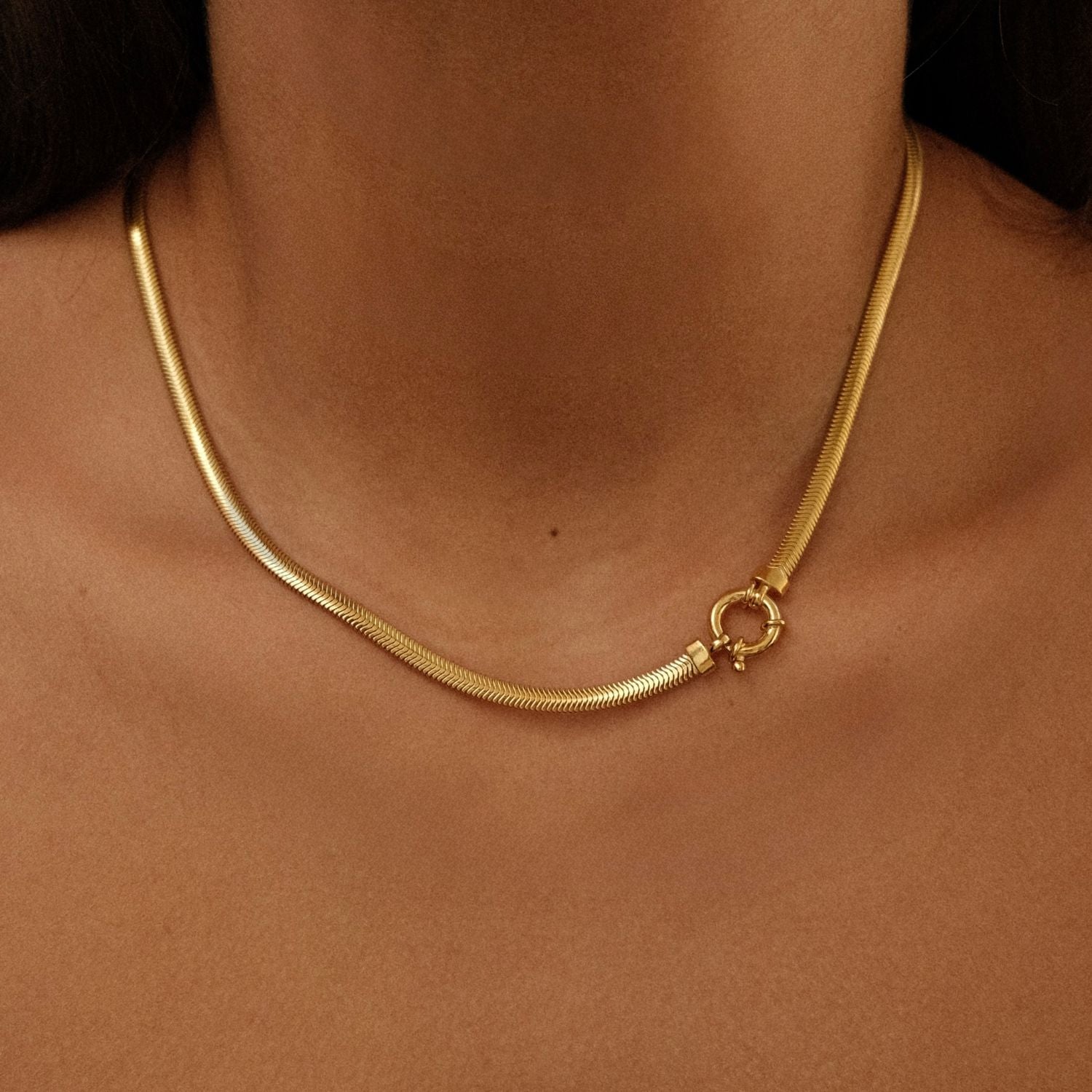 Snake Collier met Veerslot