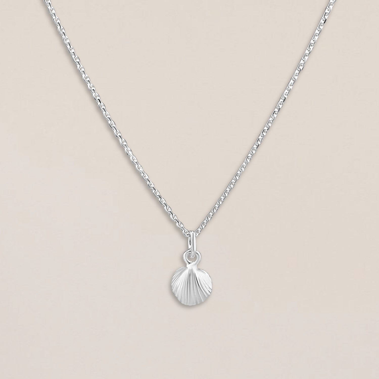 Zilveren ketting schelpje