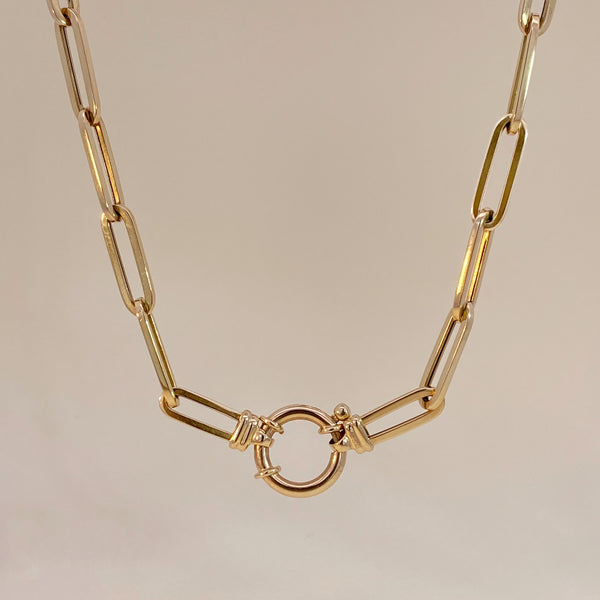 GoldenPaperclipNecklacewithSpr