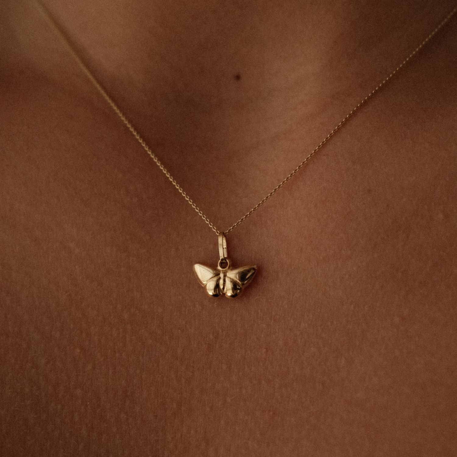 Hanger Vlinder 14k Goud