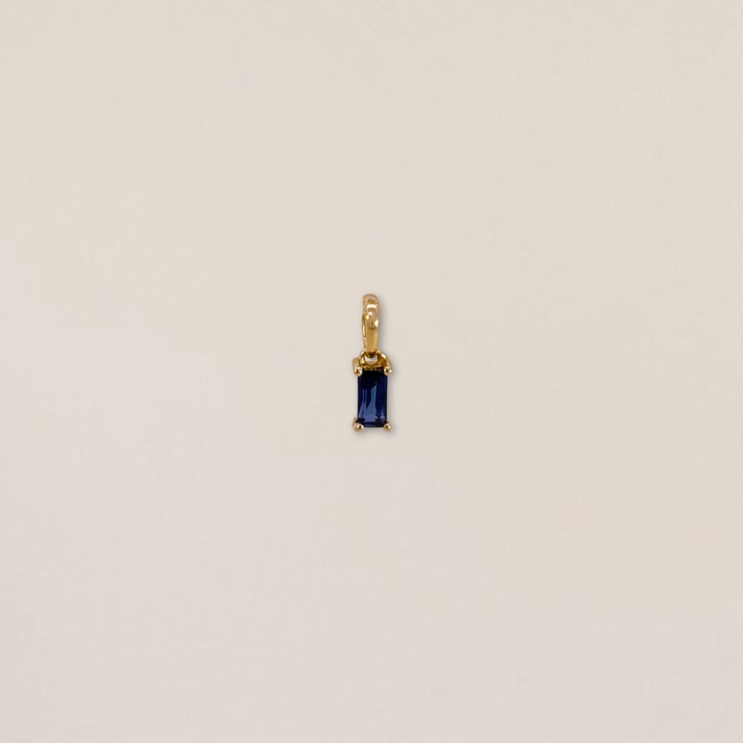 Kleine Birthstone Charm