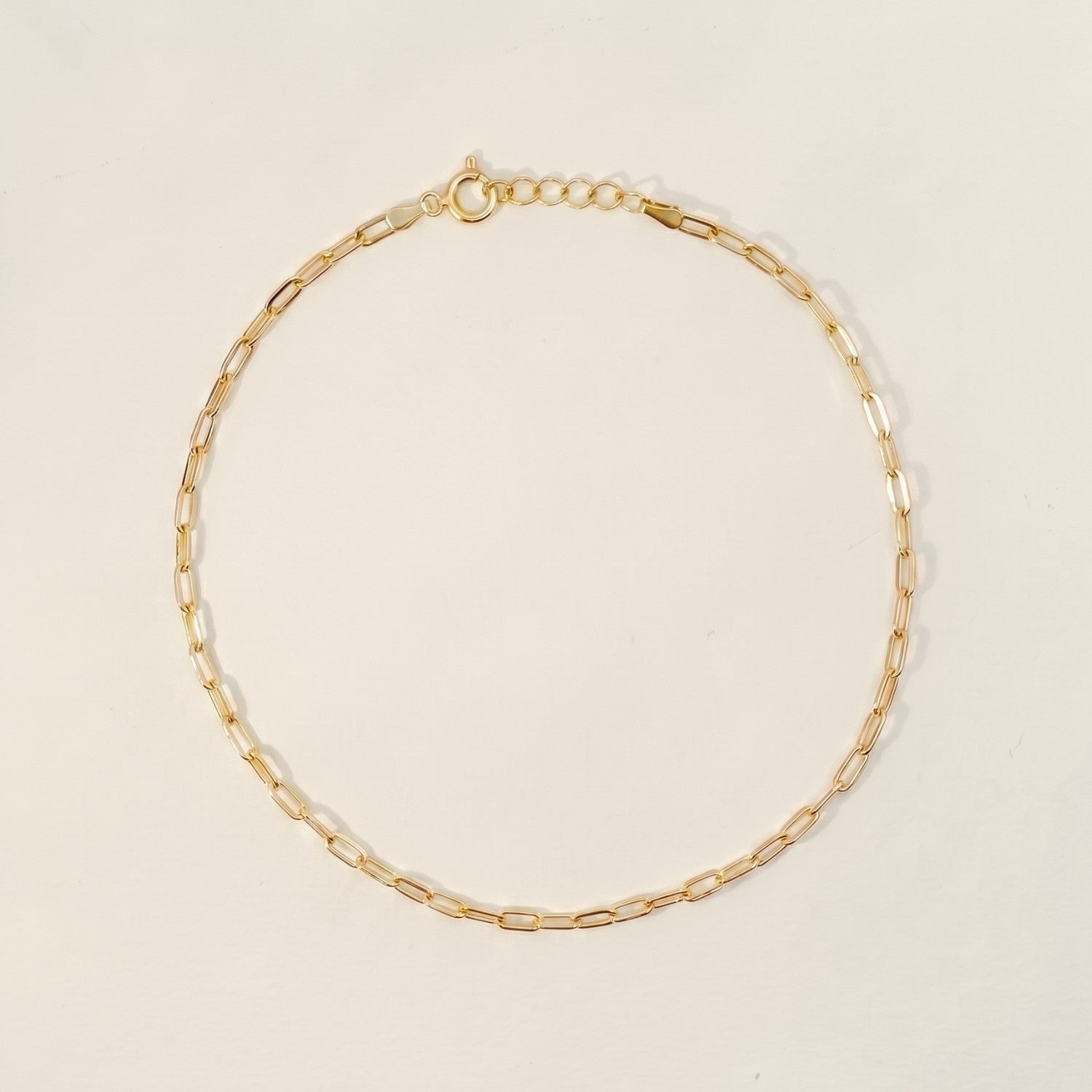 Paperclip Anklet