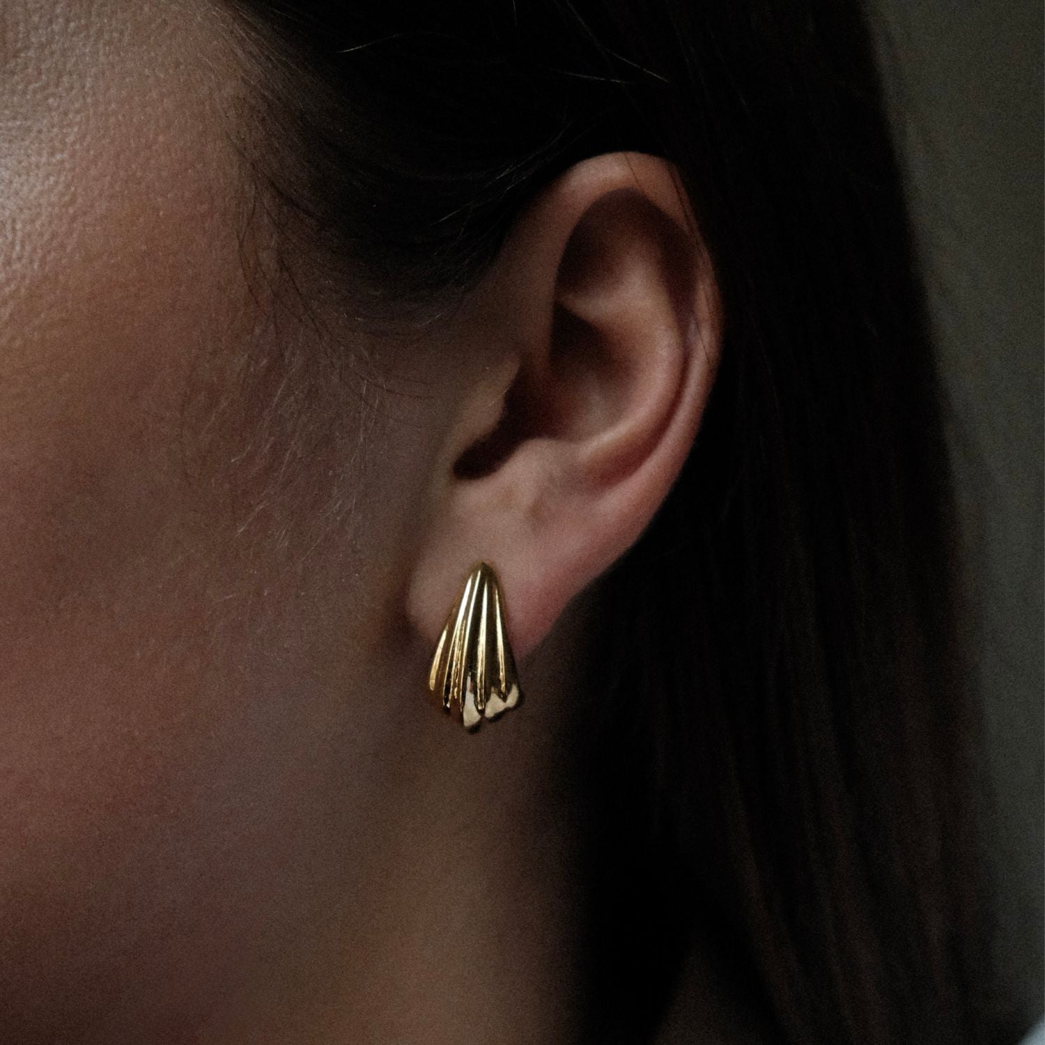 Sculpted Shell Earrings