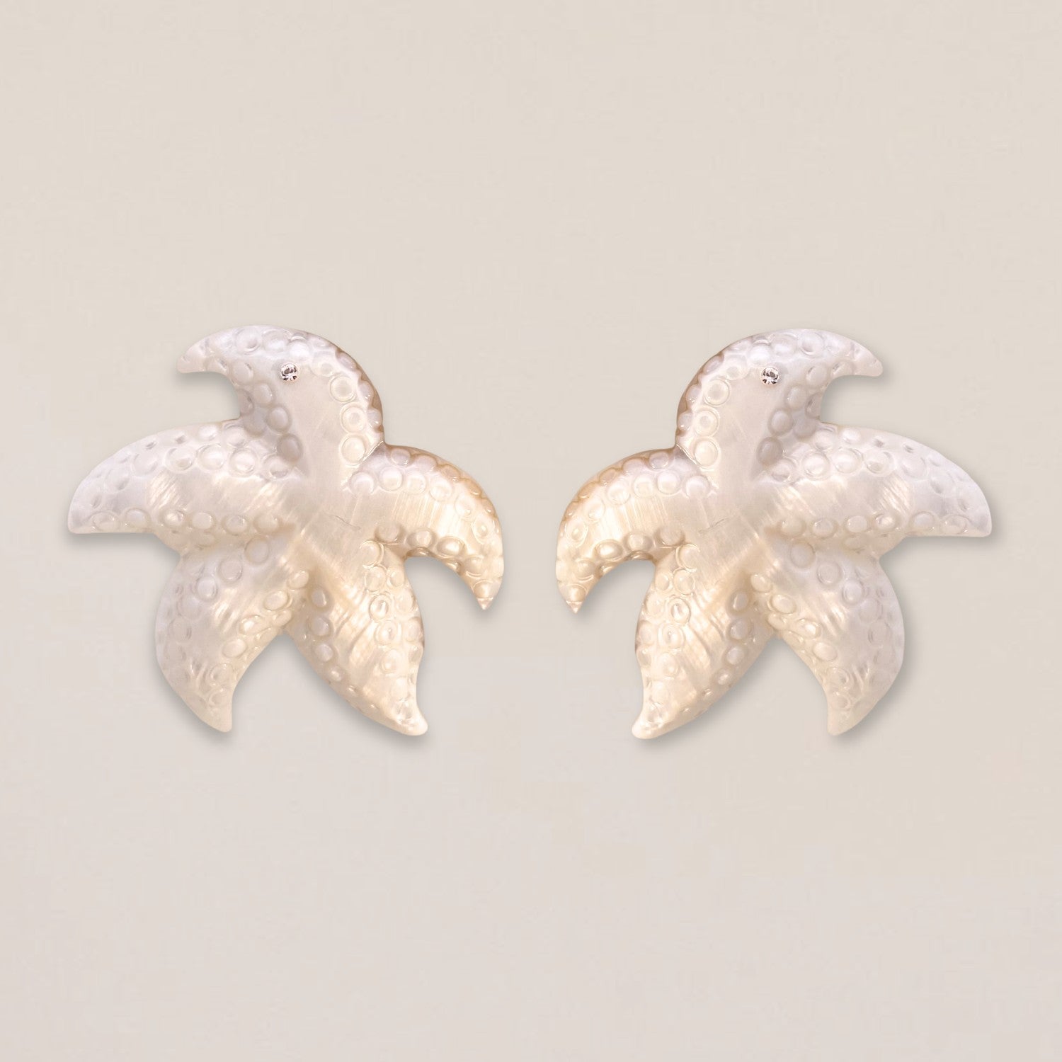 Starfish Shell Earrings